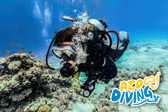AZO DIVING アゾ ダイビング